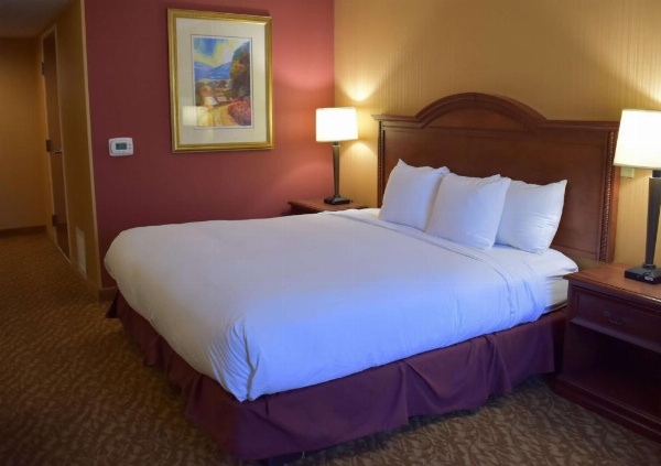 DoubleTree by Hilton Hotel Asheville - Biltmore image 18